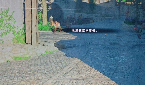 《红色沙漠 Crimson Desert》无法在空中召唤怎么修复