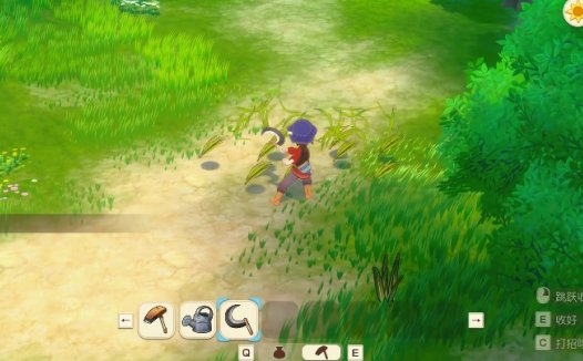 牧场物语 来吧！风之繁华集市 所有季节的最佳作物种植攻略