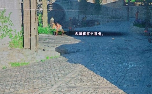 《红色沙漠 Crimson Desert》无法在空中召唤怎么修复