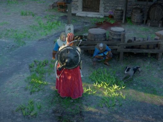 《红色沙漠 Crimson Desert》怎么抓杰弗里