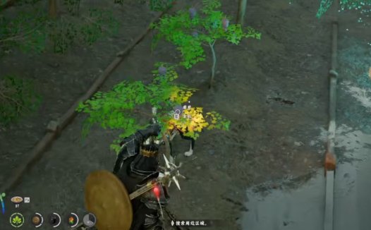 《红色沙漠 Crimson Desert》怎么让种子快速成长