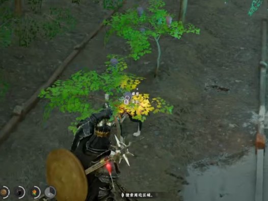 《红色沙漠 Crimson Desert》怎么让种子快速成长